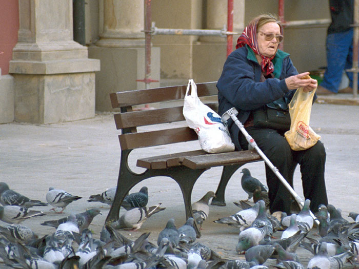 Zdj. 15. Autor: Mateusz �uk