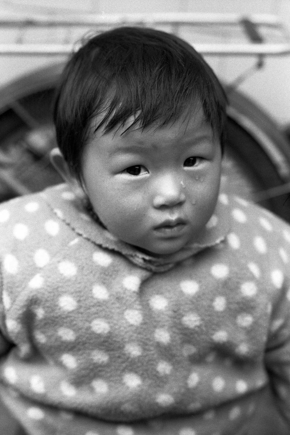 Zdjęcie 5. Autor: Marta Szymańska